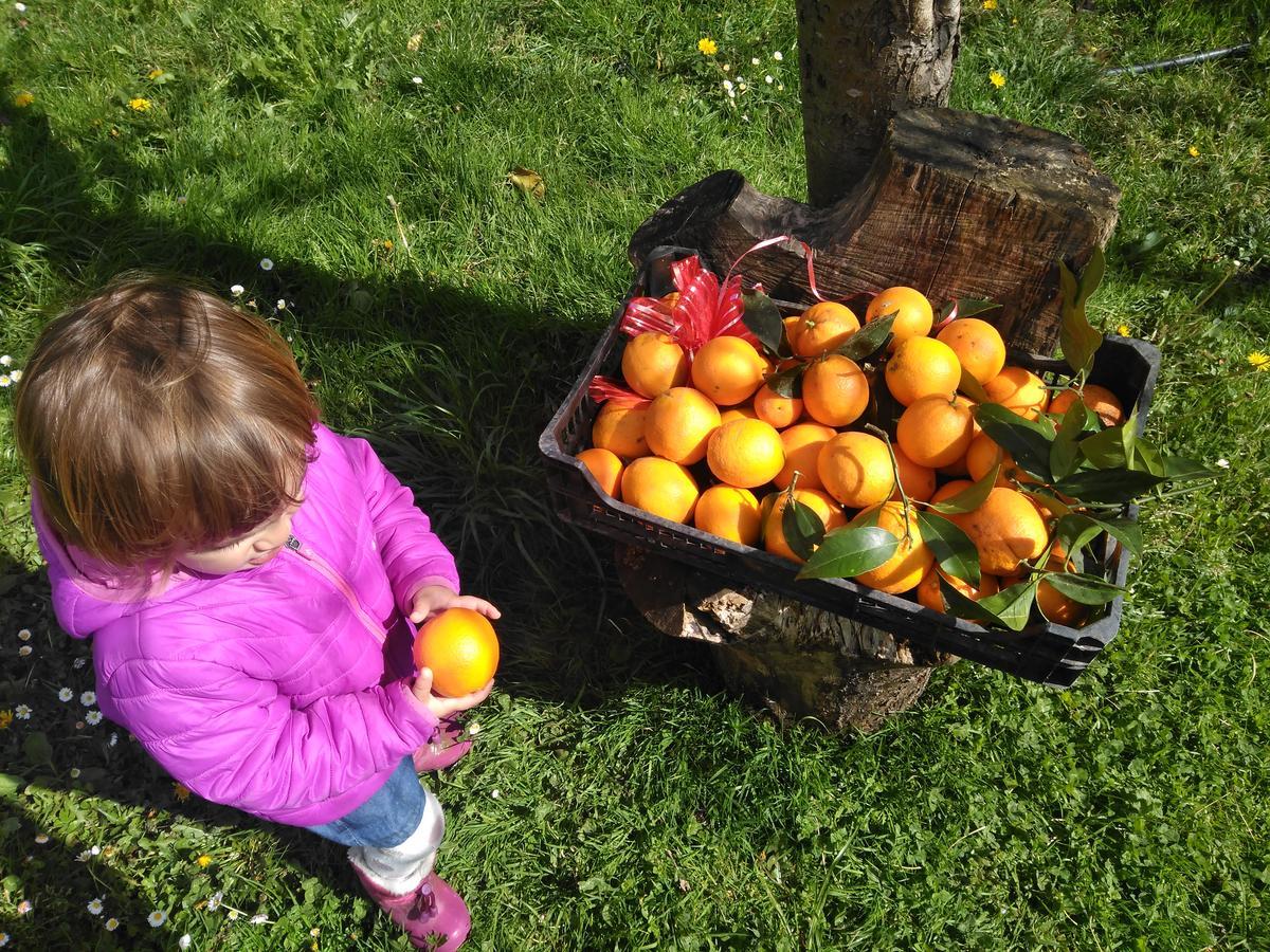 Agroturismo La Casona De Belmonte Ovinana  Eksteriør billede