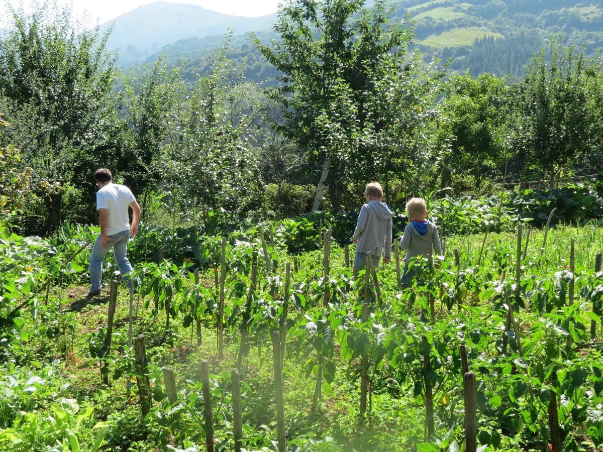 Agroturismo La Casona De Belmonte Ovinana  Eksteriør billede